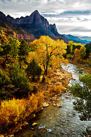 Virgin River, Zion National Park, Utah