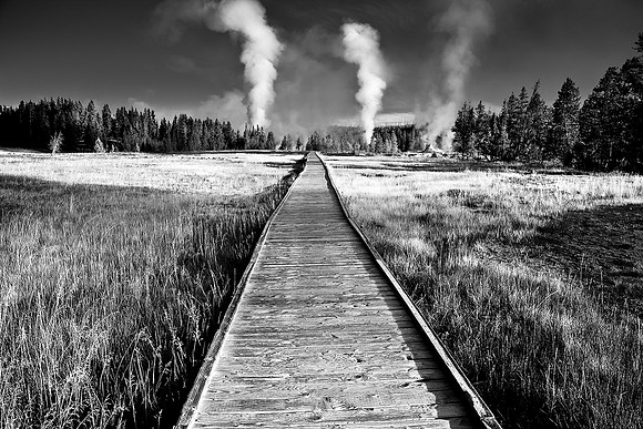Upper Geyser Basin, Yellowstone National Park, Wyoming