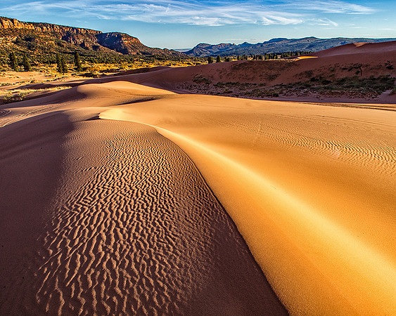 Coral Pink Sand Dunes, Utah