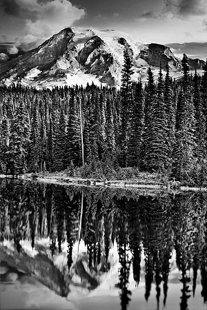 Mount Rainier National Park, Washington