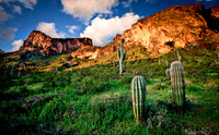 Picacho Peak State Park, Arizona