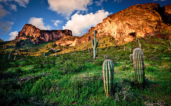 Picacho Peak State Park, Arizona