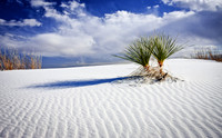 White Sands National Monument, New Mexico