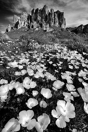 Superstition Mountains, Arizona
