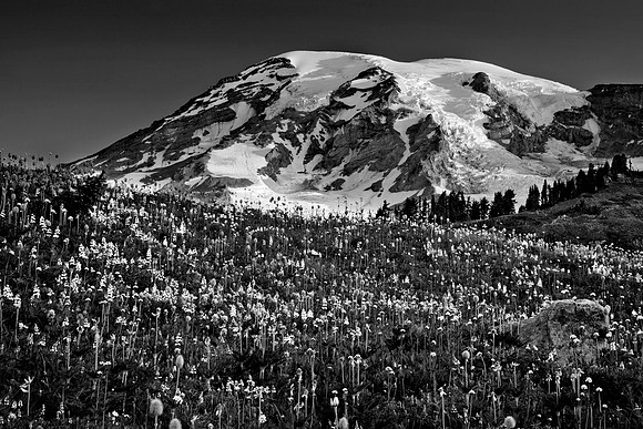 Mount Rainier National Park, Washington