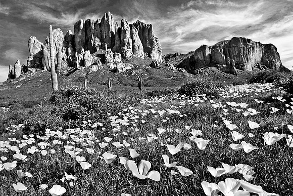Lost Dutchman, Superstition Mountains, Arizona