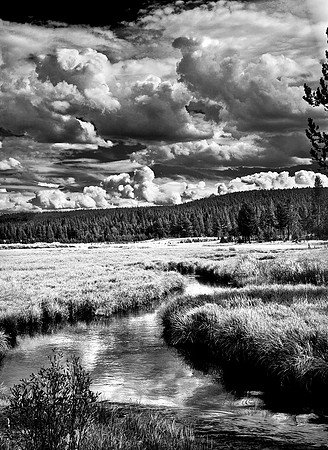 Gibbon River, Yellowstone National Park, Wyoming