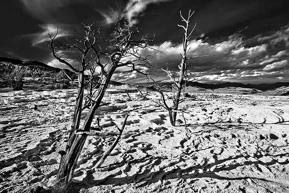 Canary Spring, Yellowstone National Park, Wyoming
