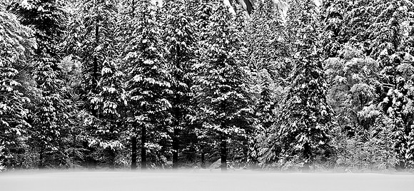 Yosemite National Park, California