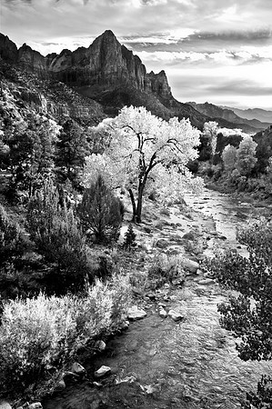 Virgin River, Zion National Park, Utah