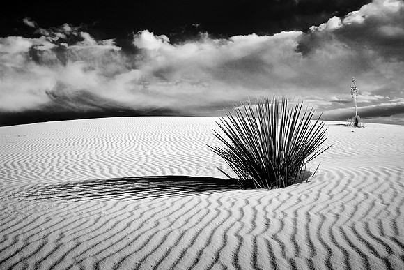 White Sands National Monument, New Mexico