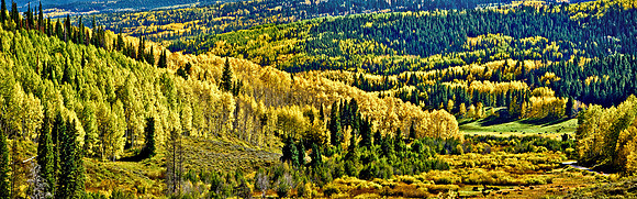Watach National Forest, Utah