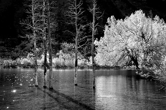 Lundy Lake, California