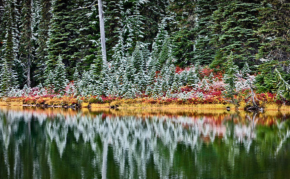 Reflection Lake, Mount Rainier National Park, Washington