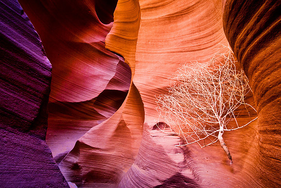 Antelope Canyon Navajo Tribal Park, Arizona