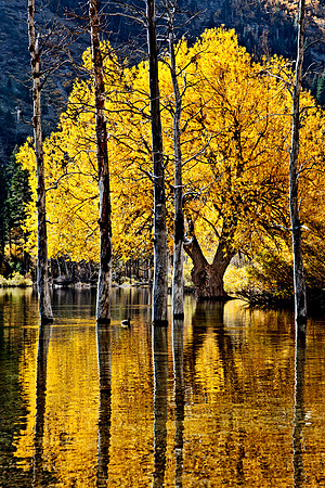 Lundy Lake, California