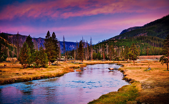 Firehole River, Yellowstone National Park, Wyoming