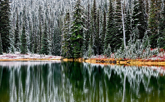 Reflection Lake, Mount Rainier National Park, Washington
