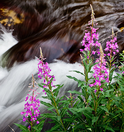Rocky Mountain National Park, Colorado