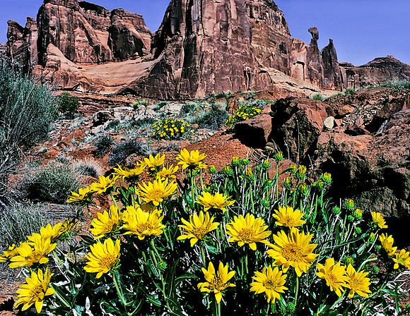 Arches National Park, Utah