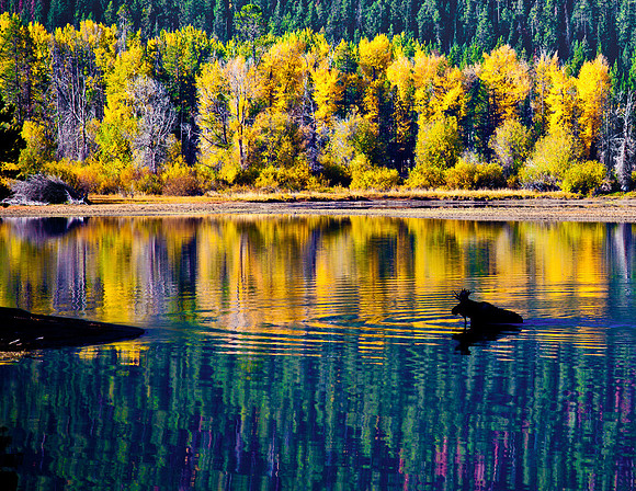 Grand Tetons National Park, Wyoming