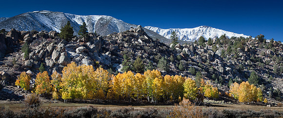 Eastern Sierras, California